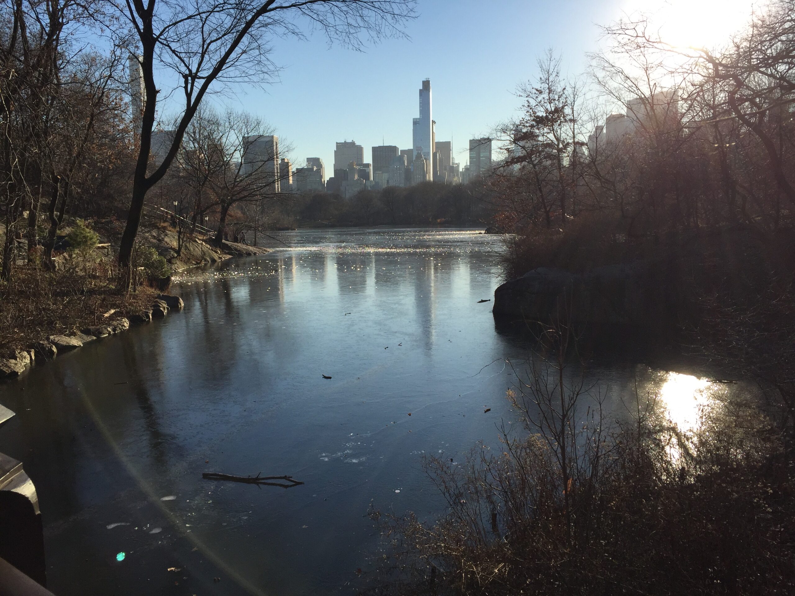 セントラルパーク