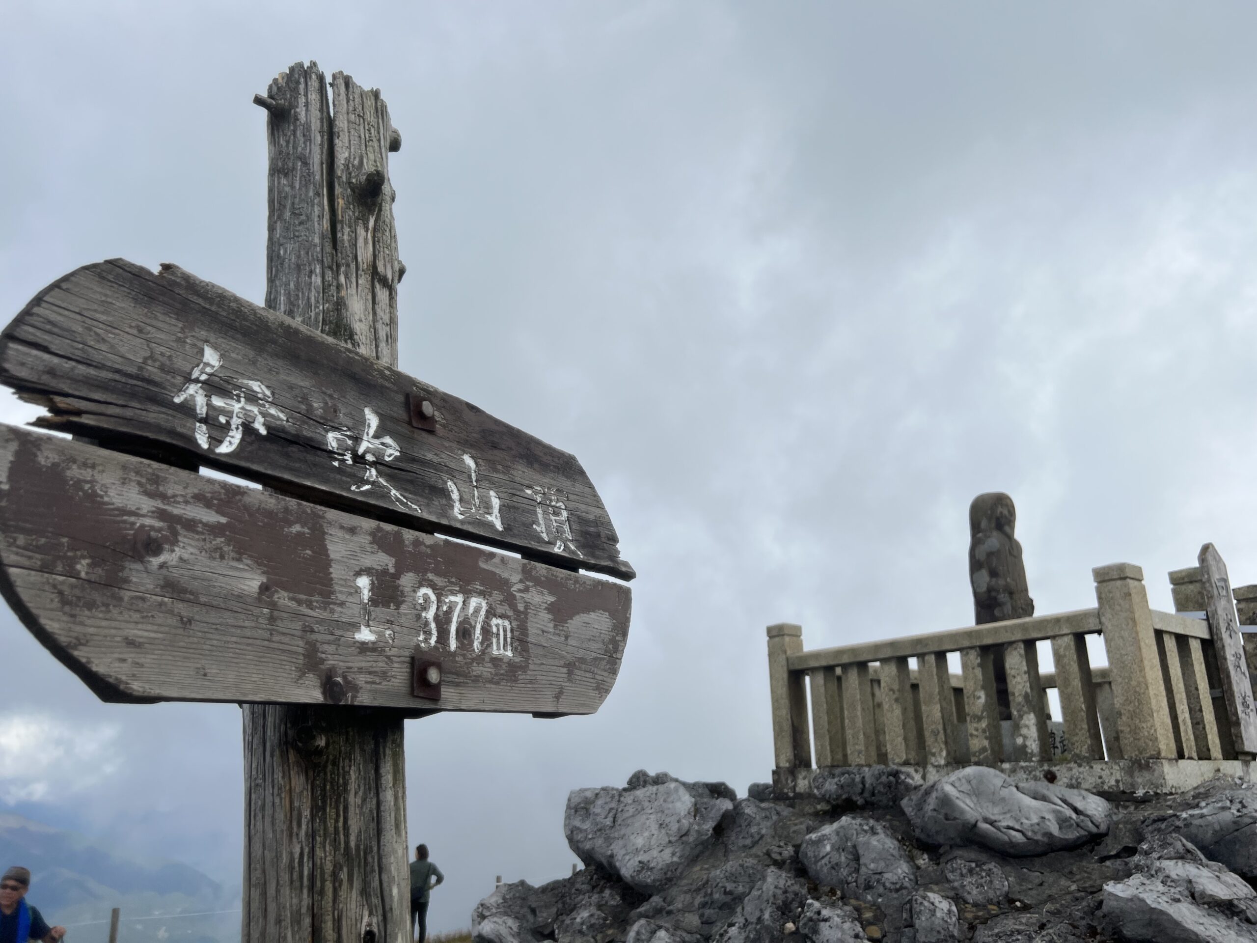 【伊吹山】百名山③ 車でも行ける｜花の名山