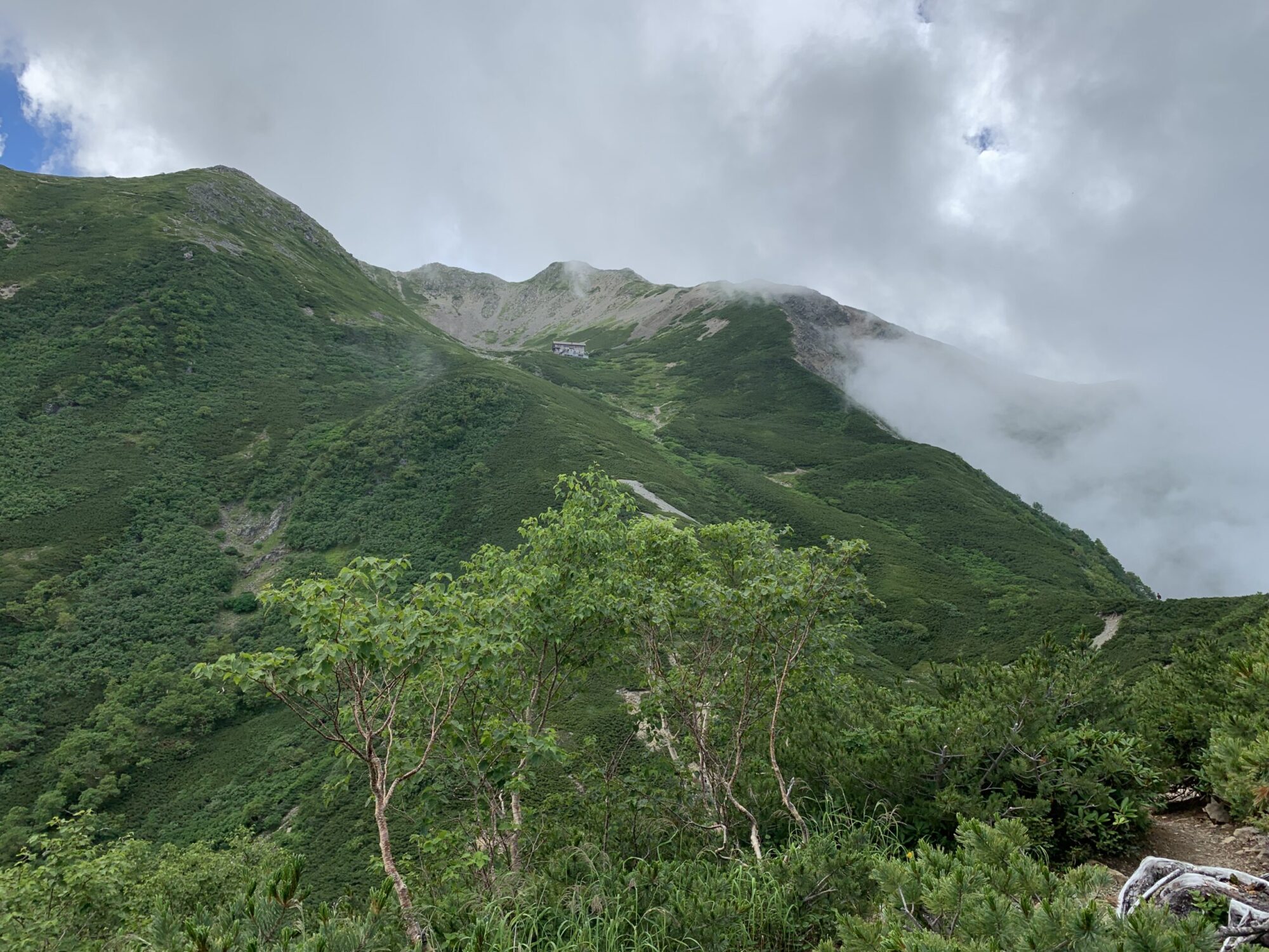 【仙丈ヶ岳】百名山12  南アルプスの女王を歩く