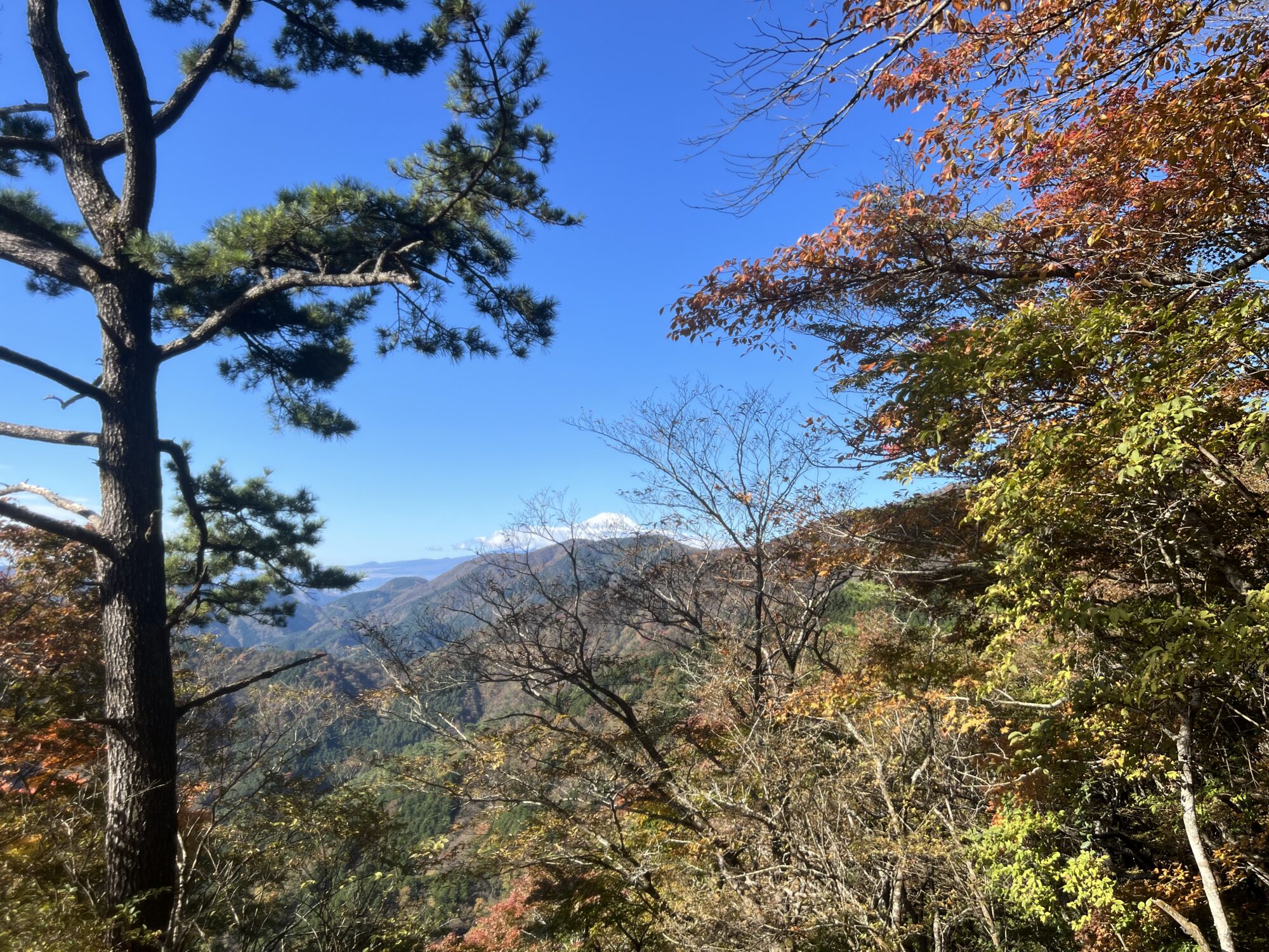 【丹沢山】百名山13   初心者でも行ける？