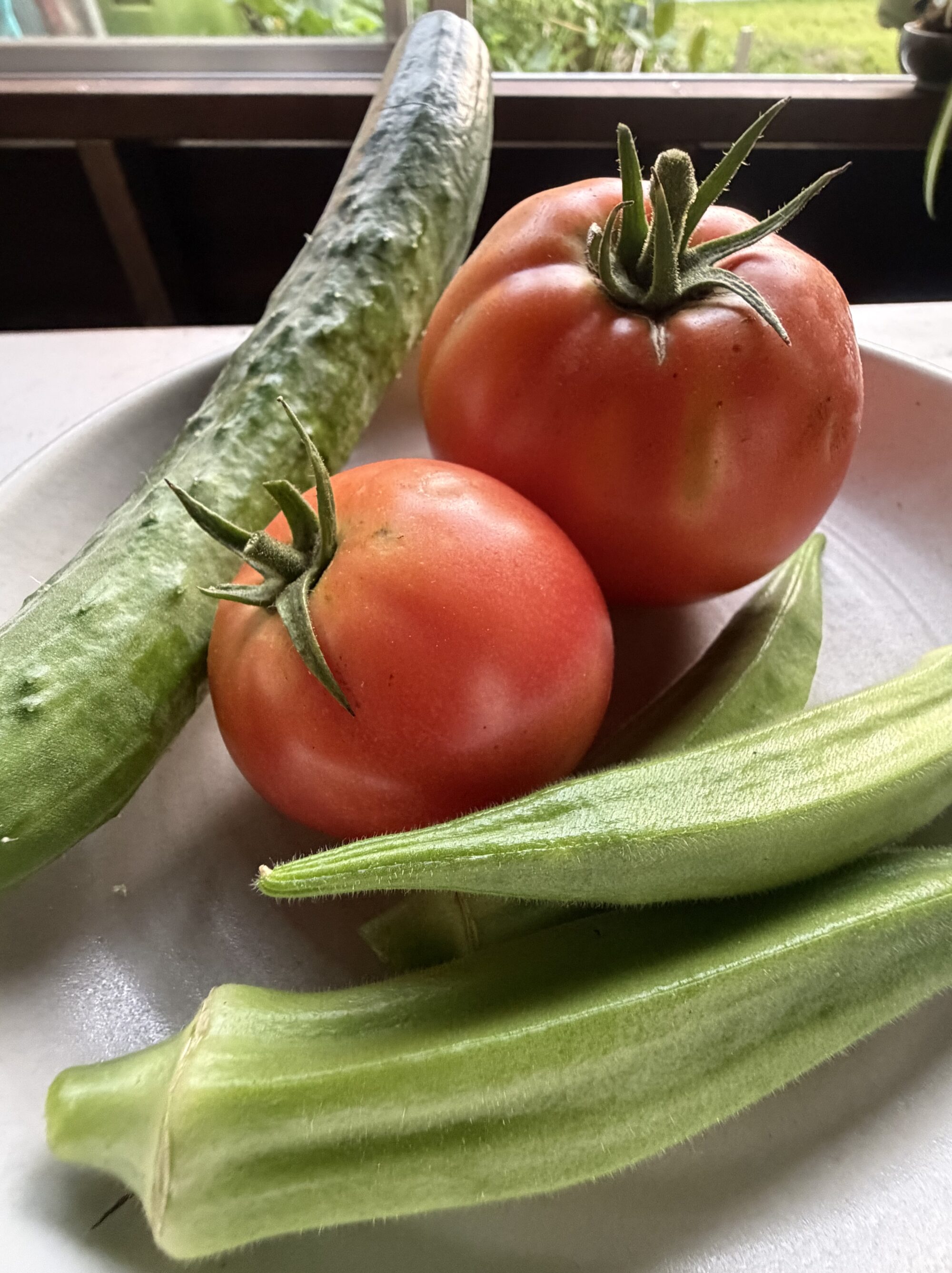 採れたて夏野菜が並ぶ、わが家の朝